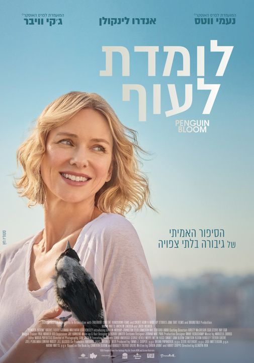פוסטר